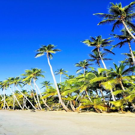 Aparthotel House Jardin Del Caribe Las Terrenas Zewnętrze zdjęcie