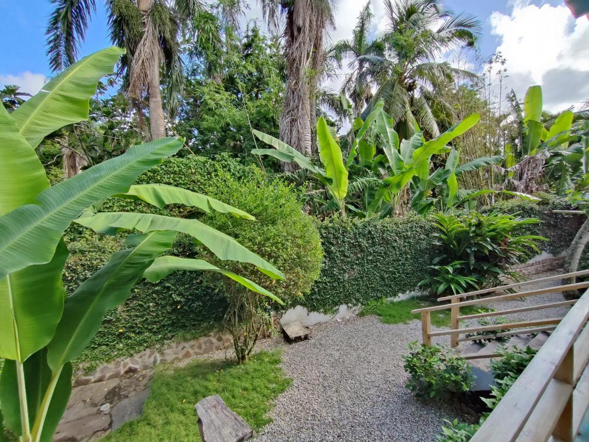 Aparthotel House Jardin Del Caribe Las Terrenas Zewnętrze zdjęcie