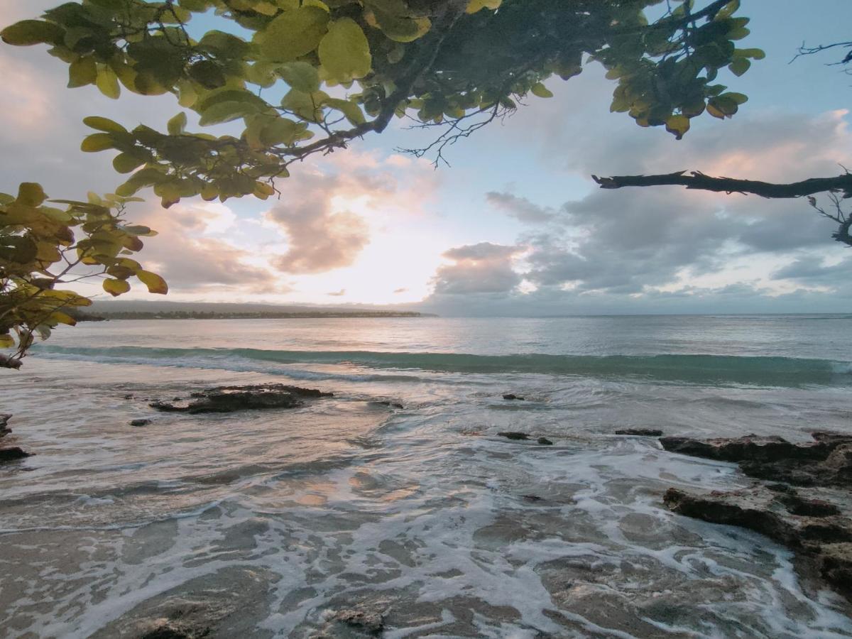 Aparthotel House Jardin Del Caribe Las Terrenas Zewnętrze zdjęcie