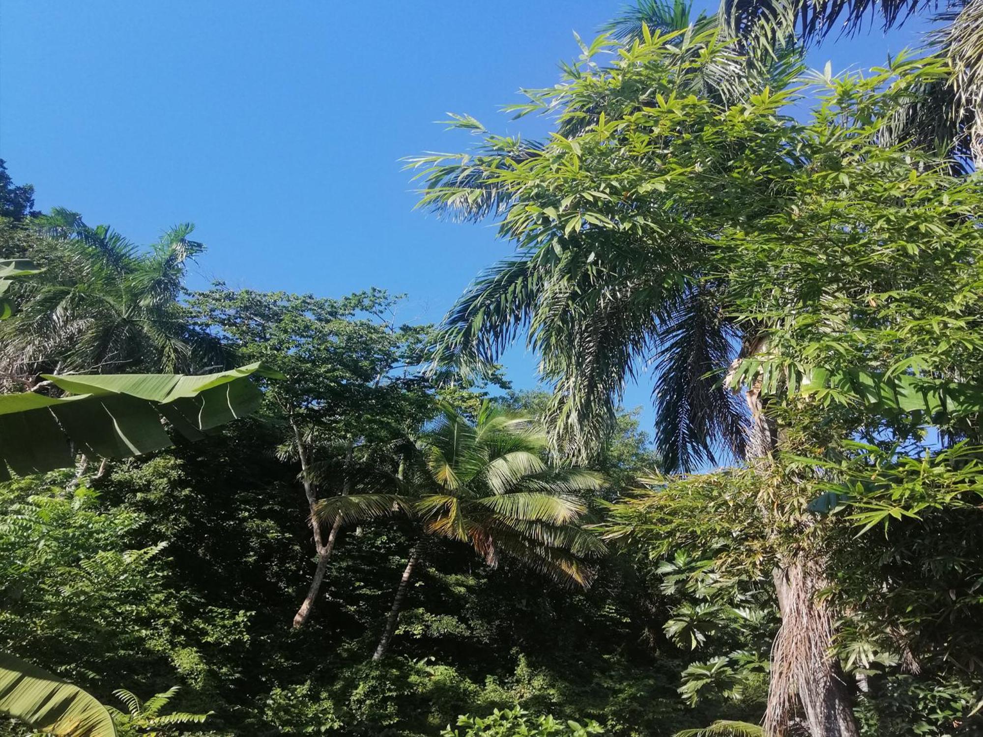 Aparthotel House Jardin Del Caribe Las Terrenas Pokój zdjęcie