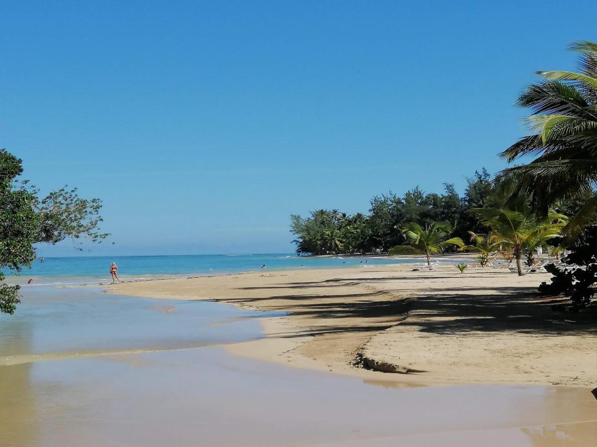 Aparthotel House Jardin Del Caribe Las Terrenas Zewnętrze zdjęcie