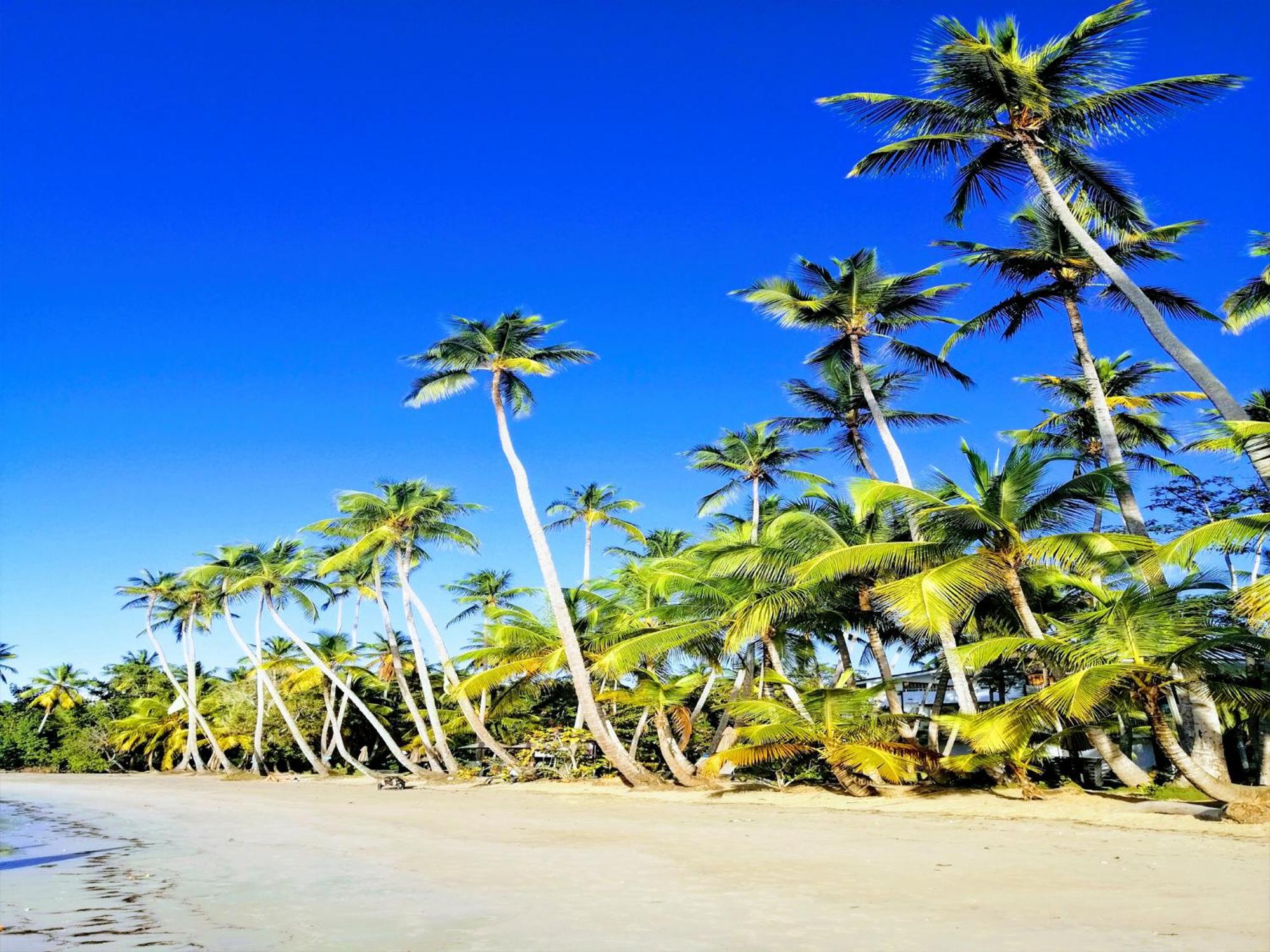 Aparthotel House Jardin Del Caribe Las Terrenas Zewnętrze zdjęcie