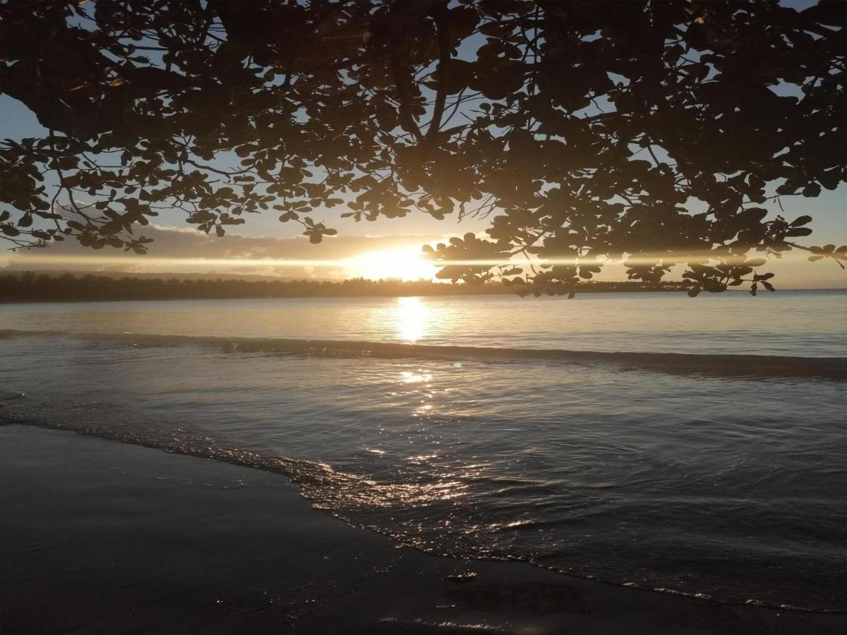 Aparthotel House Jardin Del Caribe Las Terrenas Zewnętrze zdjęcie